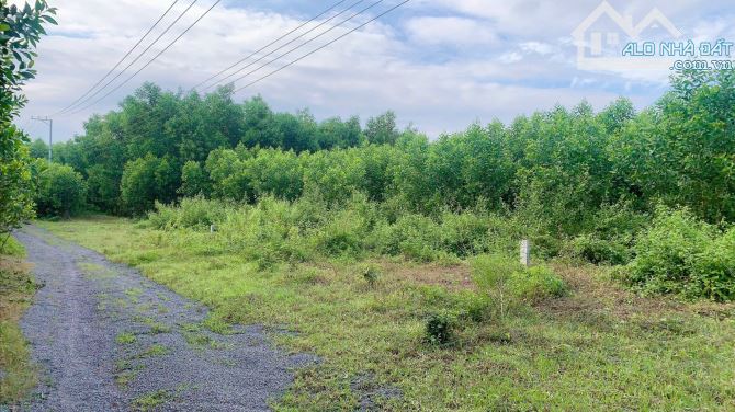 💥💥Chủ gửi bán lô đất vườn đẹp  626m2 xã Diên Xuân - Diên Khánh💥💥