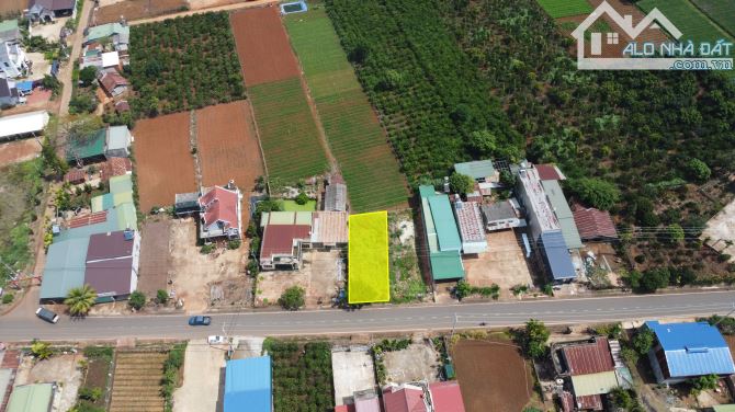 🌟 CHÍNH CHỦ GỬI BÁN – ĐẤT Ở MẶT TIỀN ĐƯỜNG NHỰA XÃ NAM HÀ – GIÁ SIÊU HỢP LÝ 🌟