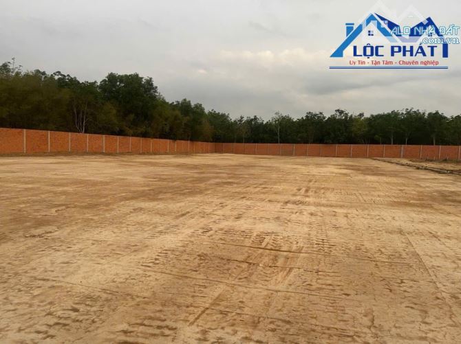 Bán đất xây xưởng SKC 13.831m2 , 30tỷ 400triệu, xã Long Nguyên, huyện Bàu Bàng, tỉnh Bình