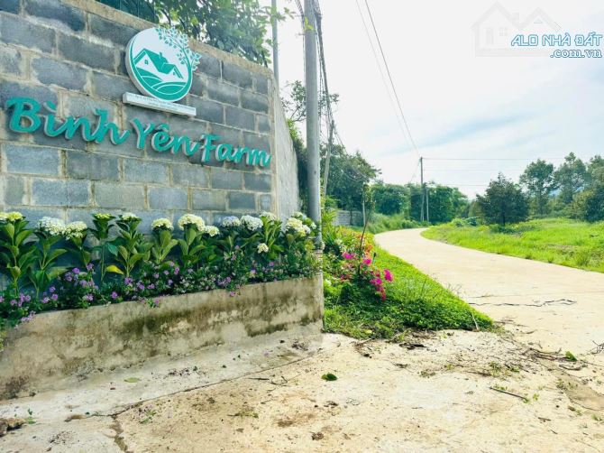 👊 Bình Yên Farm 22.369m2 doanh thu 2ty/ năm Ở Tân Phú Đồng Nai cần bán gấp.