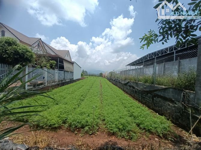 Bán đất mặt tiền DH1 Dt 10x50m tc150m2 Kinh doanh Buôn Bán - Làm Kho