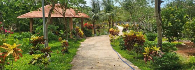 Bán nhà vườn nghỉ dưỡng 6500m2  trong đó có 300m2 thổ cư, tại xã Long Phước, TP. Bà rịa
