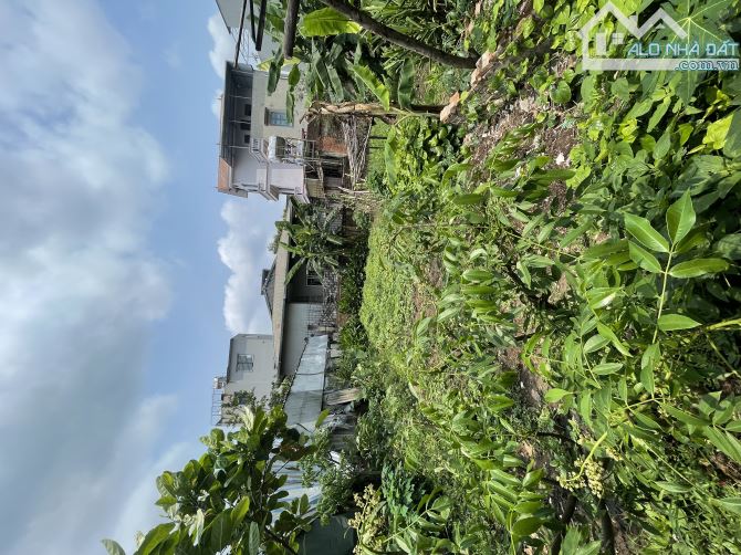 Bán ĐẤT , Giá tốt , sổ riêng , ô tô đỗ cửa , 100m2 , giá 6,5 tỷ Vân Nội, Đông Anh