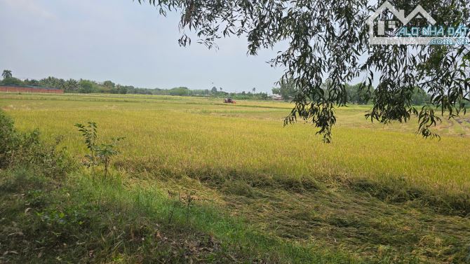 Bán lô đất vườn mặt tiền kênh An Nhơn Tây, Củ Chi, 1tr/m2 - 1