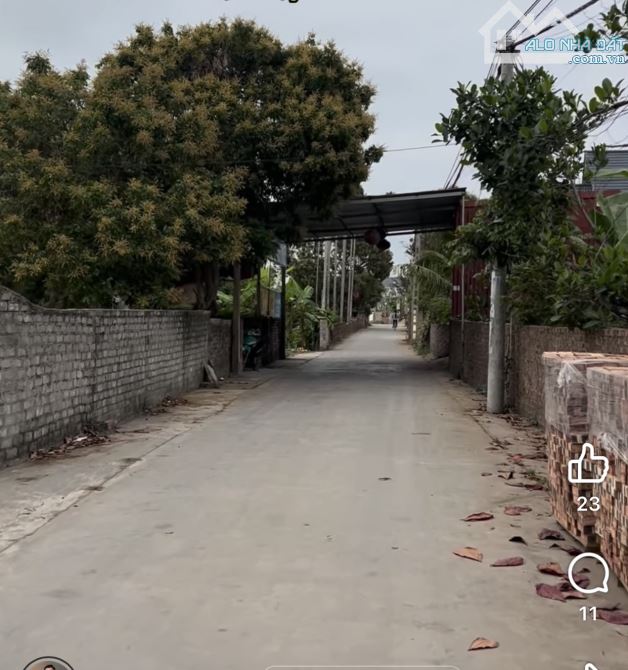 Bán đất rộng 585m², mặt tiền 9.6m, gần đường 391 – Quang Phục, Tứ Kỳ – Giá chỉ 6 triệu/m² - 1