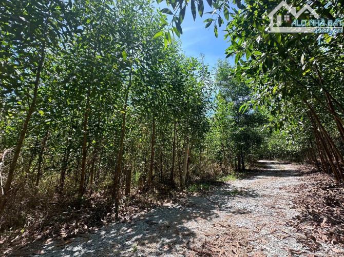 730m2 Diên Xuân - Diên Khánh- Khánh Hòa. ( Cách TP Nha Trang 28km).💥 - 1