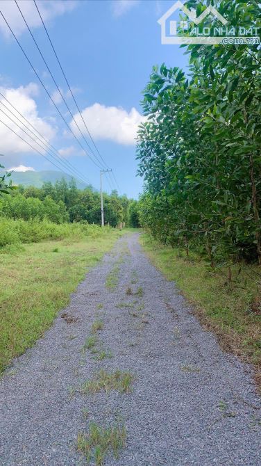 💥💥Chủ gửi bán lô đất vườn đẹp  626m2 xã Diên Xuân - Diên Khánh💥💥 - 1
