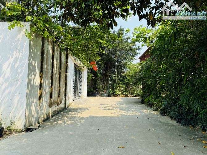 Bán đất Nghi Kim gần ngã tư sân bay, mặt tiền rộng 10m bìa cực đẹp - 1