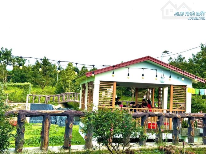 👊 Bình Yên Farm 22.369m2 doanh thu 2ty/ năm Ở Tân Phú Đồng Nai cần bán gấp. - 1