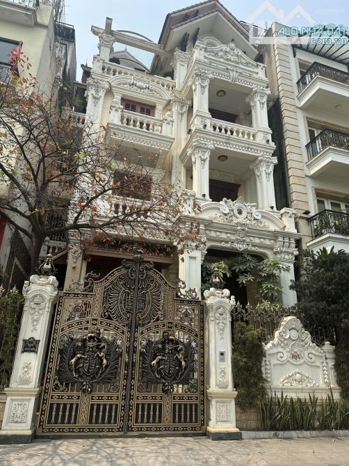BÁN ĐẤT ĐẸP DUY NHẤT CÒN SÓT LẠI-GẦN HỒ TÂY DT48M2-MT 4.3M2-ÔTÔ-PHỐ NHẬT CHIÊU-TÂY - 1