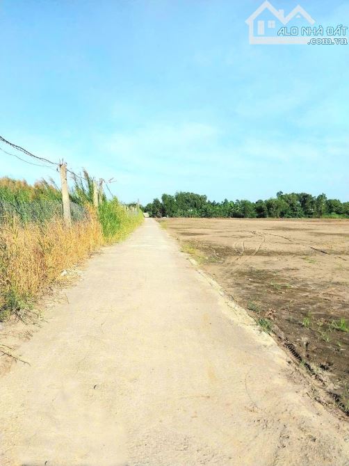 660tr b.á.n đất thổ cư sát bên QL50 – cầu Mỹ Lợi, TP Gò Công, Tiền Giang. - 2