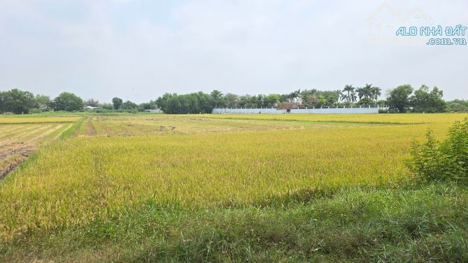 Bán lô đất vườn mặt tiền kênh An Nhơn Tây, Củ Chi, 1tr/m2 - 2