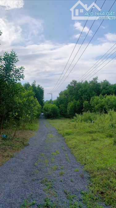 💥💥Chủ gửi bán lô đất vườn đẹp  626m2 xã Diên Xuân - Diên Khánh💥💥 - 2