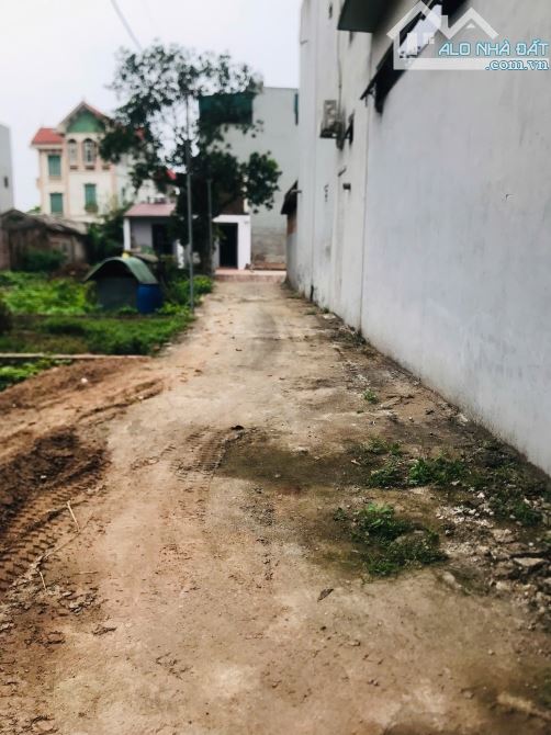 Bán đất tại Mai Lâm, Đông Anh, Hà Nội, 50 triệu / m2, 115 m2 chỉ với cơ hội duy nhất - 2