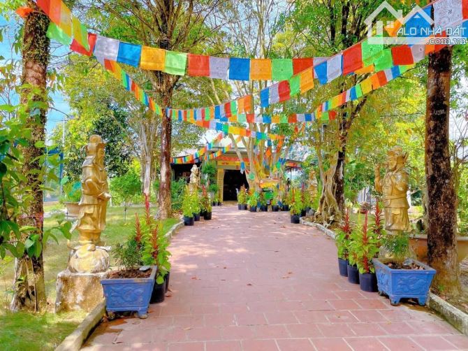 👊 Bình Yên Farm 22.369m2 doanh thu 2ty/ năm Ở Tân Phú Đồng Nai cần bán gấp. - 2