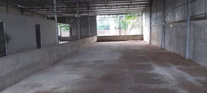 Bán 986m2 nhà kho mặt tiền TL926 ( đoạn gần cầu Cây Cẩm ) - 2