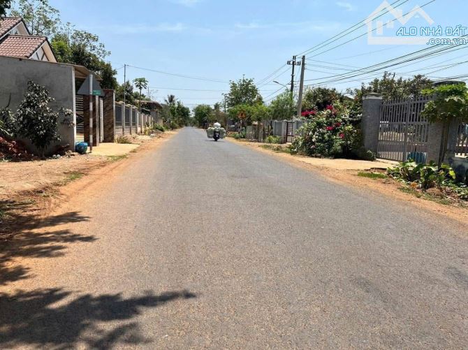 BÁN ĐẤT KBU HOÀ KHÁNH MẶT ĐƯỜNG NHỰA THÔNG Ô BÀN CỜ MT KINH DOANH - 2