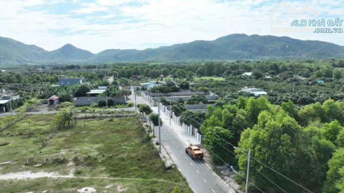 VƯỜN XOÀI THỊ TRẤN PHƯỚC HẢI- GẦN BIỂN PHƯỚC HẢI - LONG ĐẤT - BRVT - 2