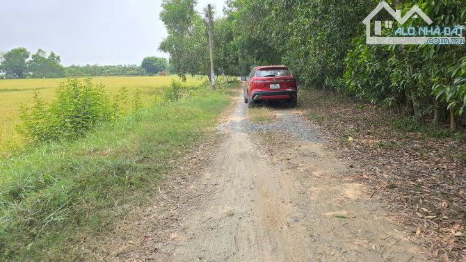Bán lô đất vườn mặt tiền kênh An Nhơn Tây, Củ Chi, 1tr/m2 - 3