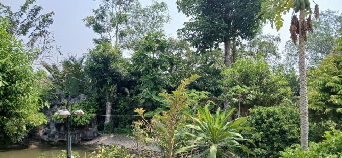 Bán 1000m2 đất đường lên cầu Rạch Miễu 2 Tiền Giang. Có 180m2 thổ cư. - 3