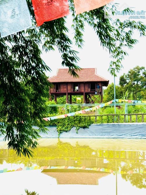 👊 Bình Yên Farm 22.369m2 doanh thu 2ty/ năm Ở Tân Phú Đồng Nai cần bán gấp. - 3