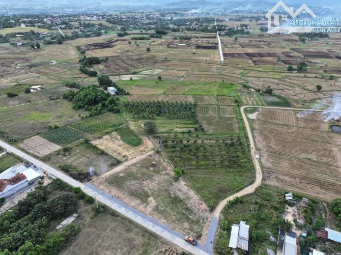 Bán đất thổ cư Ninh Thọ Ninh Hòa Gần KCN Dốc Đá Trắng Vịnh Vân Phong giá chỉ 579 triệu - 3