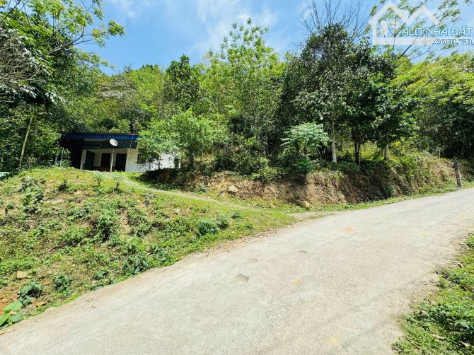 Chủ cần tiền bán cắt lỗ lô đất tại Kim Bôi, Hoà Bình - 4