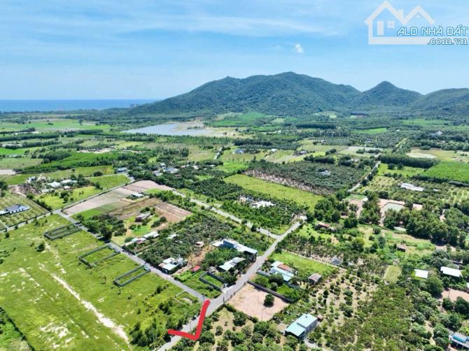 VƯỜN XOÀI THỊ TRẤN PHƯỚC HẢI- GẦN BIỂN PHƯỚC HẢI - LONG ĐẤT - BRVT - 4