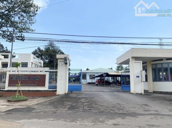 MẶT TIỀN KINH DOANH CỰC ĐẸP ĐƯỜNG HỒ VĂN HUÊ PHƯỚC TÂN, SỔ HỒNG RIÊNG - 5