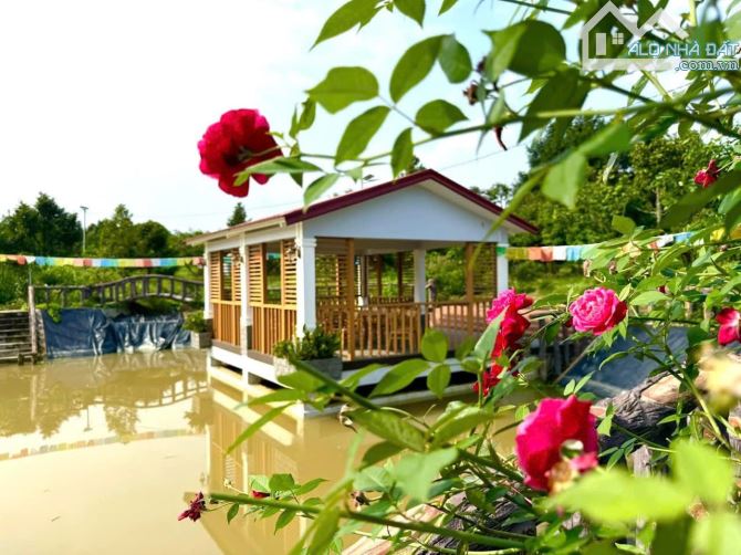 👊 Bình Yên Farm 22.369m2 doanh thu 2ty/ năm Ở Tân Phú Đồng Nai cần bán gấp. - 5