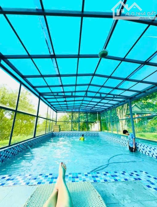 👊 Bình Yên Farm 22.369m2 doanh thu 2ty/ năm Ở Tân Phú Đồng Nai cần bán gấp. - 7