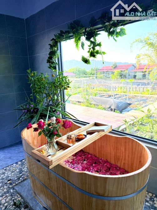 👊 Bình Yên Farm 22.369m2 doanh thu 2ty/ năm Ở Tân Phú Đồng Nai cần bán gấp. - 8