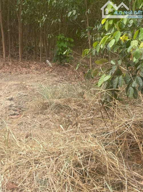 Bán gấp đất Long Tân,Phú Thạnh Nhơn Trạch ngay Vành Đai 3, 25C, thổ cư, giá rẻ 5,8ty/486m - 9