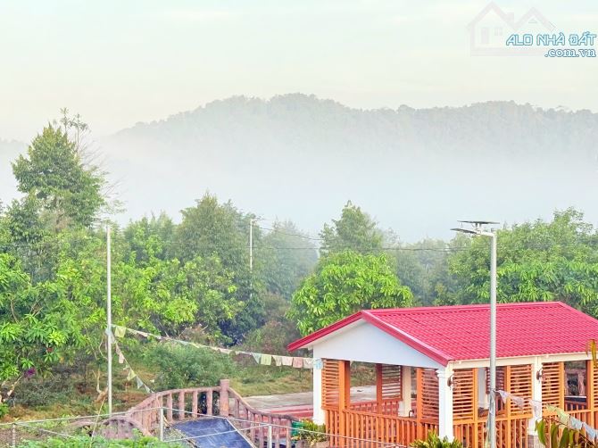 👊 Bình Yên Farm 22.369m2 doanh thu 2ty/ năm Ở Tân Phú Đồng Nai cần bán gấp. - 9