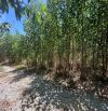 730m2 Diên Xuân - Diên Khánh- Khánh Hòa. ( Cách TP Nha Trang 28km).💥