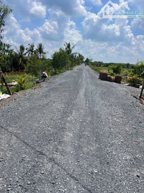 1000m2 vườn giá 435 triệu tân thành_Thủ Thừa_Long an Đuờng ôtô giá rẻ