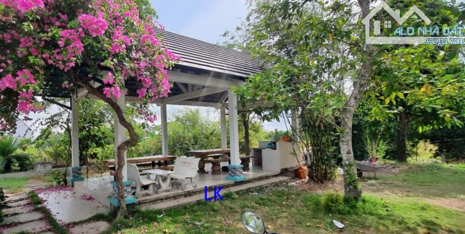 Bán trang trại: Sầu riêng  51.000m² , ĐT 850, xã Láng Biển