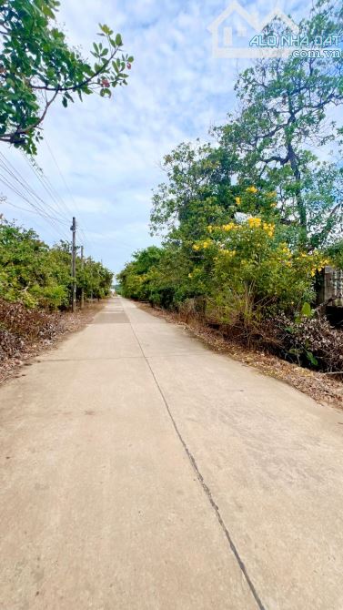 BÁN VƯỜN SẦU RIÊNG 7823M2 CÁCH QUỐC LỘ 20 CHỈ 400M GIÁ RẺ 3TY150
