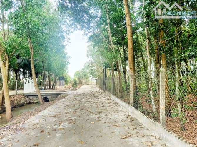 Bán đất 1/ đường Võ Văn Điều - 790m2 - 15x61 nở hậu 17m - xã Phước Thạnh - Củ Chi