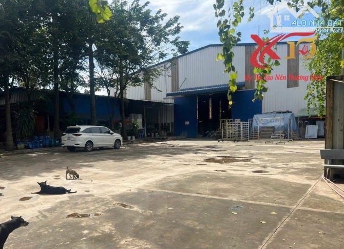 Bán xưởng 5000m2, trạm điện 400kvA quy hoạch SKC ngay Võ Nguyên Giáp, Phước Tân, Đồng Nai