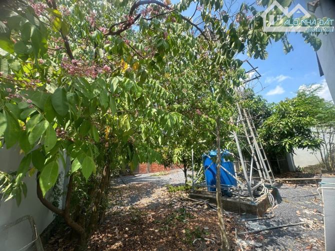 Biệt thự vườn Thạnh Đức Bến Lức 2447m2 đường xe tải - 11