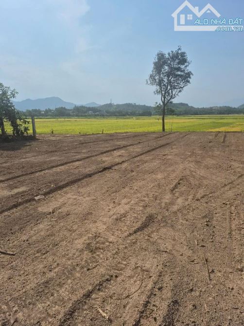 📌📌📌Làm việc trực tiếp!!! Bán lô đất vườn hoà ninh giá rẻ 🔥 - 2