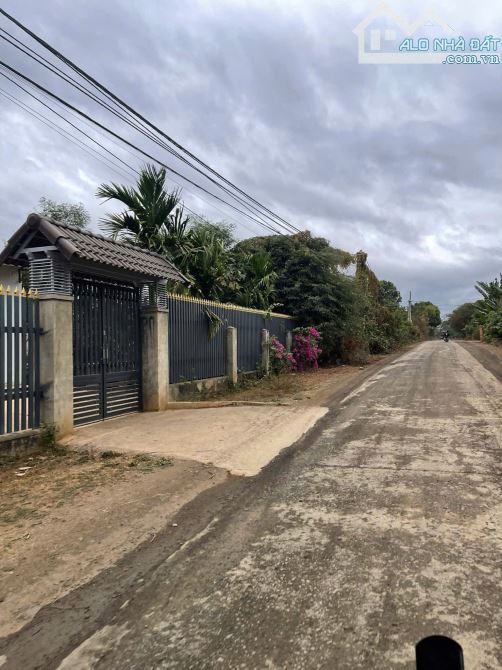 Bán nhanh 490 triệu cho 4,4 sào buôn Niêng 2 xã Ea Noul Buôn Đôn - 1