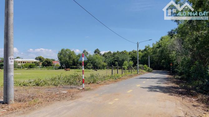 Bán Đất thi trấn phước hải 1 mẫu 400 sẵn 1000m thổ cư - 4