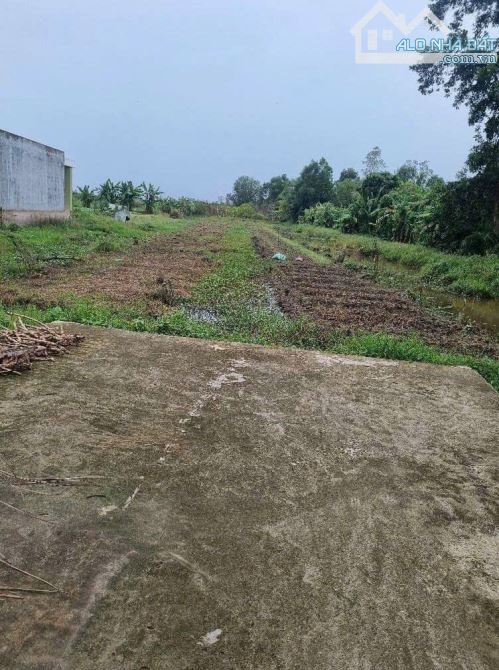 BÁN 4 CÔNG ĐẤT MẶT TIỀN NGUYỄN VIẾT XUÂN, P THỚI AN ĐÔNG, Q. BÌNH THUỶ, TP CẦN THƠ - 1
