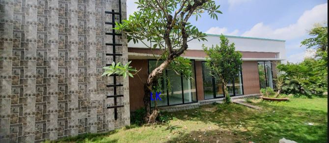 Bán trang trại: Sầu riêng  51.000m² , ĐT 850, xã Láng Biển - 1