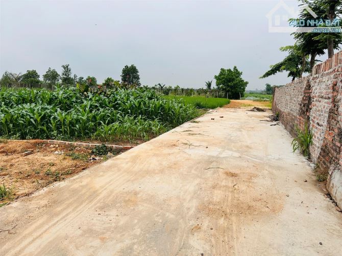 LÔ GÓC 96M² - TÂN LƯƠNG, HIỀN NINH, SÓC SƠN - ĐÓN ĐẦU VÀNH ĐAI 4 - CÁCH SÂN BAY 2KM! - 1