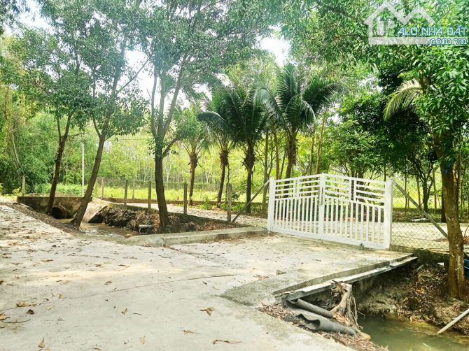 Bán đất 1/ đường Võ Văn Điều - 790m2 - 15x61 nở hậu 17m - xã Phước Thạnh - Củ Chi - 1