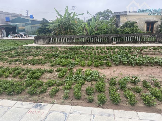 Bán Lô KDT Tây Ninh 2 ( 148m). Mặt tiền 9m, nở hậu. - 1