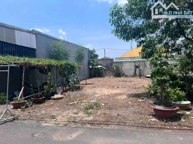 B.án lô Biệt Thư. Ngay chợ Trảng Dài. Chỉ 3ty890 👉Dt: 10x25m. Sổ Riêng quy hoạch ODT  ▪️v - 1